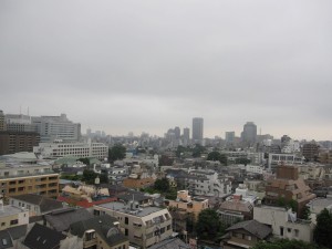 a view from a high-end apartment in Minato-ku in Tokyo